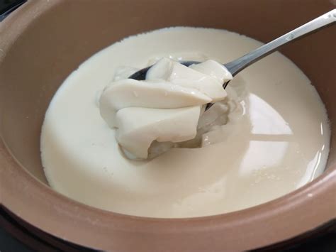 【自制豆腐脑的做法步骤图，自制豆腐脑怎么做好吃】冬天里的毛毛狗_下厨房