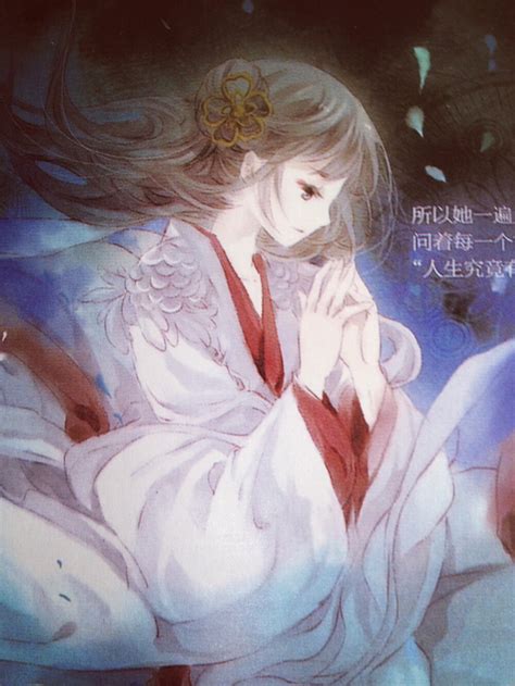 画师—晓泊图片
