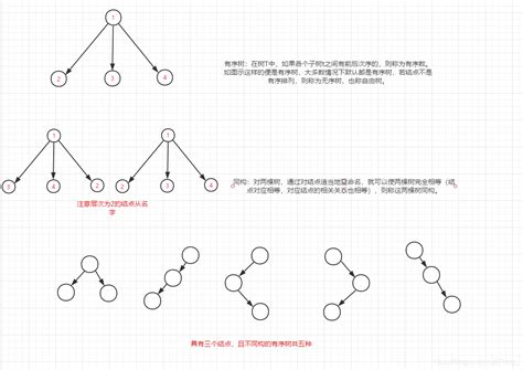二叉树的基本概念-阿里云开发者社区
