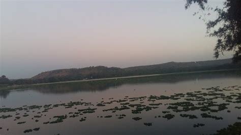 Pashan Lake Pune, Timings, Address, Directions - Total Safari