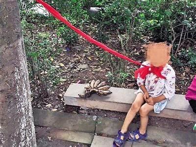 重庆4岁男童因贪玩被拴树上 长辈：无奈之举(图)