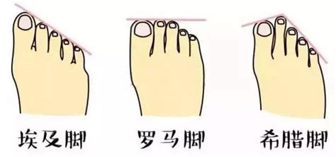 中翰文化| 什么脚型代表什么性格，快来看你属于哪种脚型！_中国风水官网