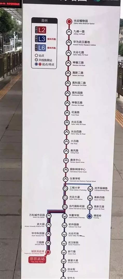 【关注】武汉新增一条有轨电车线路，通车时间来了！_澎湃号·媒体_澎湃新闻-The Paper