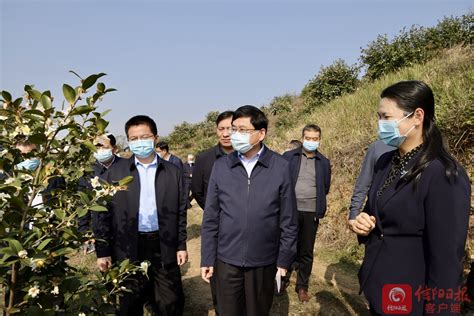 陈志伟在开展巡林工作时指出 以林业高质量发展筑牢绿色生态屏障-信阳日报-信阳