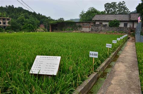 泰顺：绿色发展铸就农业农村生态梦-短信频道-温州网