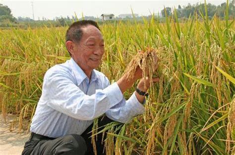 “杂交水稻之父”袁隆平去世，享年91岁_凤凰网视频_凤凰网