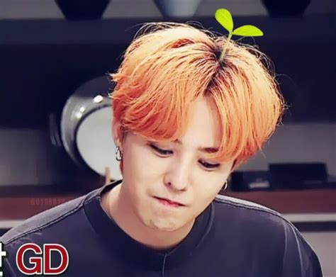 权志龙Bigbang图片 权志龙Bigbang图片