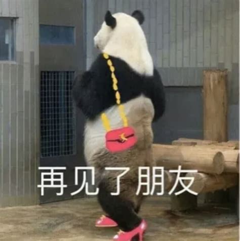美女再见表情包图片