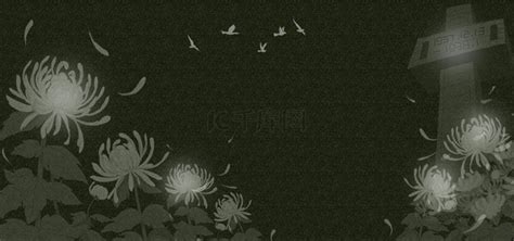黑色背景上的白色菊花鲜花花朵悼念哀悼ai绘画 - 觅知网