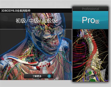 3DBody解剖官方电脑版_华军纯净下载