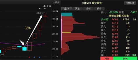 中国芯片第一股从72跌至6元，庄家底部千亿抢筹-沪深-索俊-摩尔投研