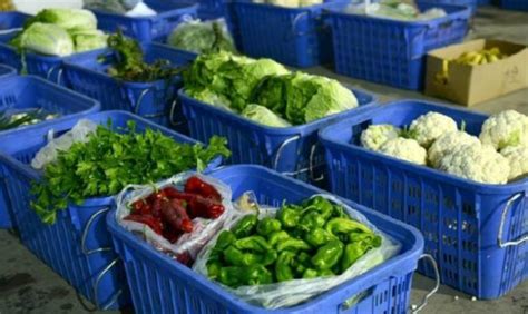 设立小区生鲜蔬菜投放柜有哪些优势？在未来发展如何？_蔬东坡资讯
