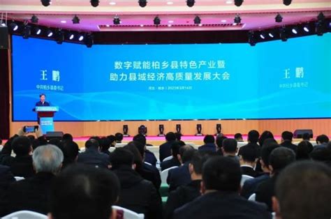 打造新经济“文化芯片”，中国牡丹超级IP即将在柏乡发布 - 知乎