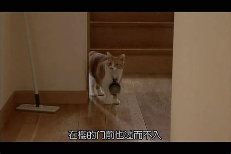 奇奇妙妙和小猫咪消防员宝宝巴士动画片_腾讯视频