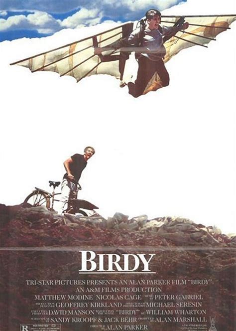 鸟人(Birdy)-电影-腾讯视频