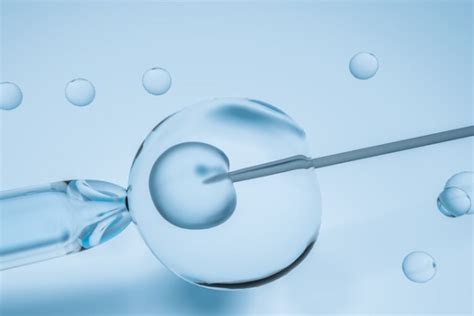 胚胎等级5bb什么意思 如何提高胚胎质量_试管婴儿百科-试管邦