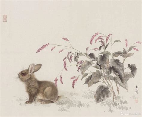 十二生肖兔子素材图片免费下载-千库网
