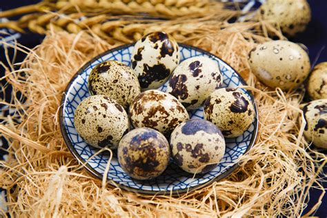 鸡蛋、鸭蛋、鹌鹑蛋，哪种更有营养？怎么选？_澎湃号·政务_澎湃新闻-The Paper