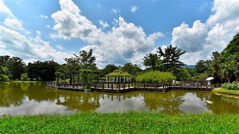 航拍夕阳下的西双版纳植物园建筑和森林高清图片下载-正版图片507727834-摄图网