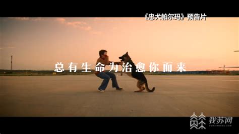 2019中国电影市场档期经济学 - 知乎