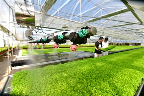 智能温室大棚设计方案 大棚种植辣椒_青州市亿诚农业科技