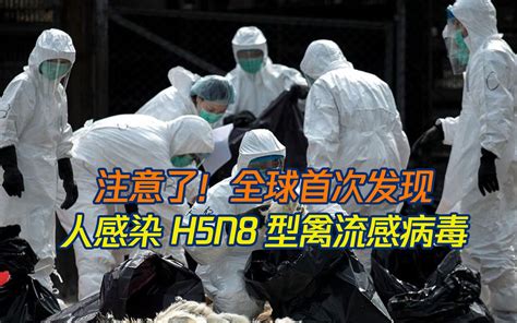 日本正面临“最严重禽流感疫情” 巨量死禽无地可埋_凤凰网视频_凤凰网