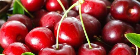 樱桃的营养价值与食用功效，吃樱桃美容抗老作用显著-【吾爱女性网】
