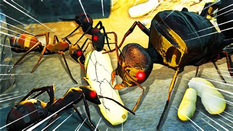 【地下蚁国】两百只红火蚁搭桥逃生！应许之地！疯狂难度！