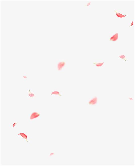 粉色花瓣飘落漂浮素材_高清PNG透明图片PIC设计素材_墨鱼部落格