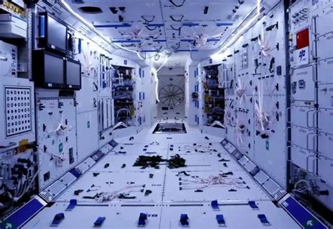 在中国空间站生活的宇航员，他们能洗澡吗？蚂蚁庄园今日答案|中国|空间站-360GAME-川北在线