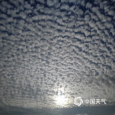 揭西天空惊现“鱼鳞云”-首页-中国天气网