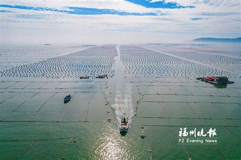 国能（连江）港电有限公司1号机组循环水系统完成首次注水 - 能源界