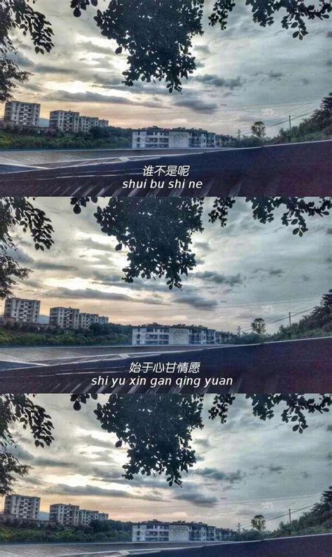 动态壁纸抖音图片