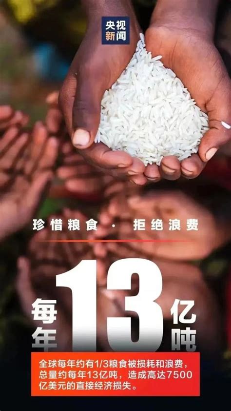 简约中国风珍惜粮食反对浪费光盘行动宣传展板光盘行动倡议书设计图片下载_psd格式素材_熊猫办公