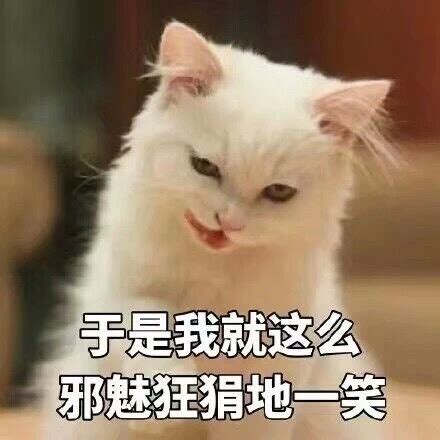 邪魅一笑表情包图片