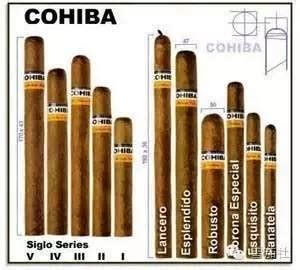 雪茄有几种尺寸 雪茄尺寸中文对照详解-香烟网