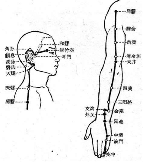 三焦经经络图图片
