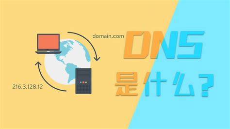 DNS是什么？DNS应该如何设置？-欧欧colo教程网