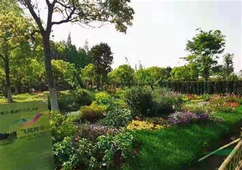 晋园中式私家庭院景观设计-花园设计案例-灵感集