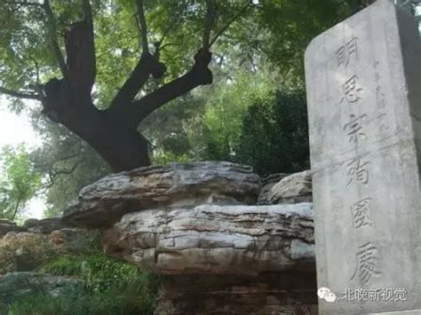 在邯郸最美的季节 瞻仰天下第一槐 -固新古槐公园-东北门游记
