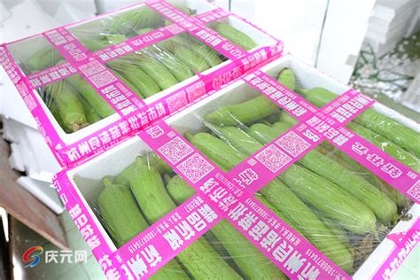 河南省濮阳市鲜花丝瓜大量出售丝瓜 鲜花丝瓜，丝瓜 - 绿果网