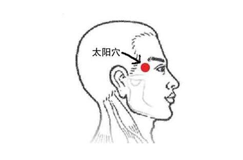 太阳的准确位置图图片