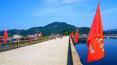 姆·凯利 的图像结果