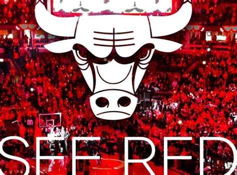体育NBA队标队徽芝加哥公牛队高清壁纸_图片编号9361-壁纸网