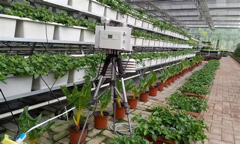 官网首页-佛山市中科农业机器人与智慧农业创新研究院