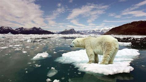 全球变暖趋势若无法改善，极地冰封的甲烷或给人类最后一击_凤凰网视频_凤凰网