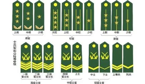 科普：解放军部队的军衔知识大全|军衔|士官|文职_新浪新闻