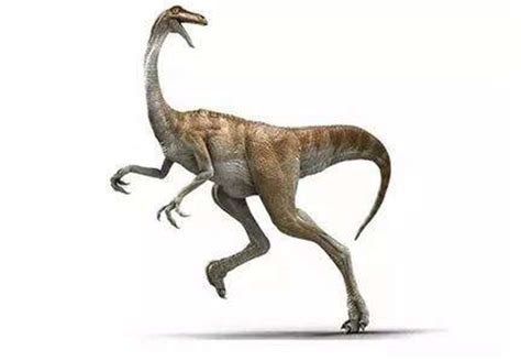 Discovery 恐龙进化史 自然纪录片_自然地理_纪录片之家-BBC国家地理探索频道高清记录片电子书下载大全