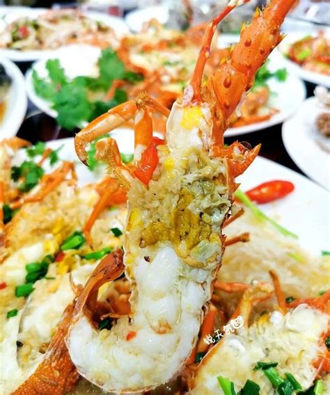 [小青龙批发]印尼小青龙龙虾 越南 印尼 小青龙 上海批发价格115元/斤 - 惠农网