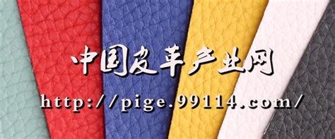 张淑华：梳理中国皮革业发展史 革故鼎新 工匠精神打造长青基业 - 知乎